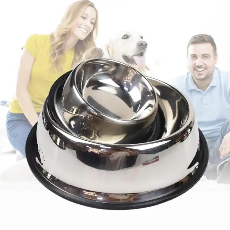 Gamelle Chien Inox